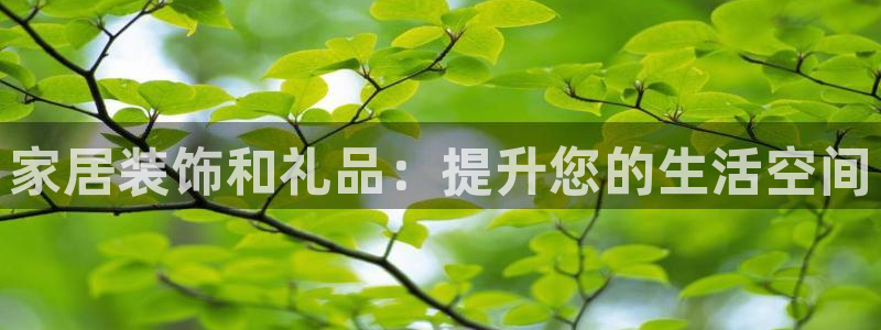 ug环球官网代理