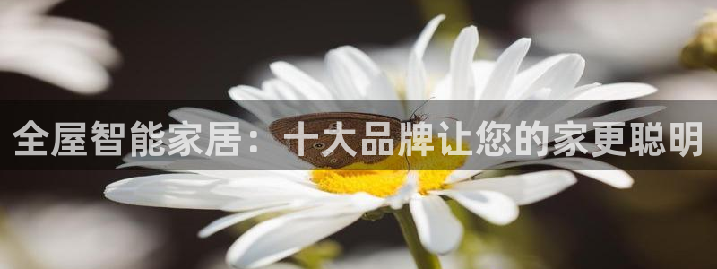 ug环球假网一比一