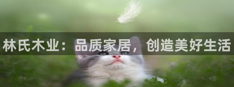 ug环球凯发