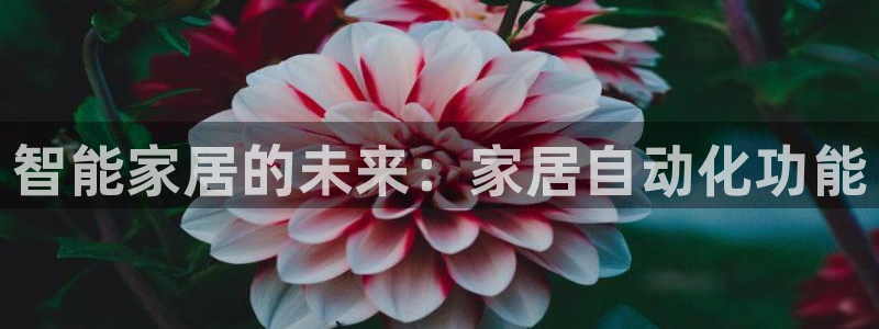 ug环球360官网