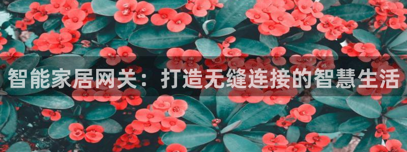 ug环球下载