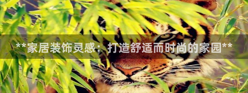 ug环球会员