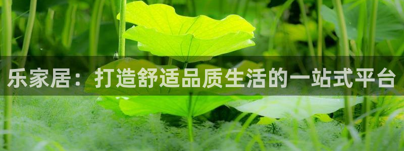 UG环球视讯