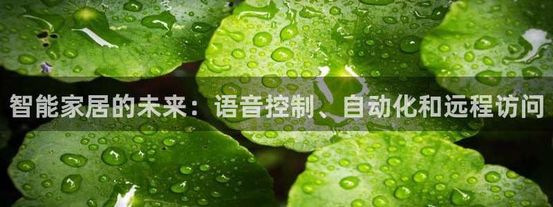 UG环球国际在线