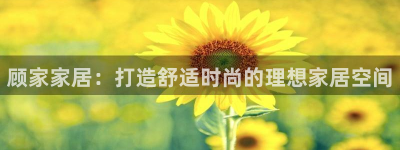 UG环球假网合作