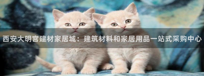 ug环球官网会员