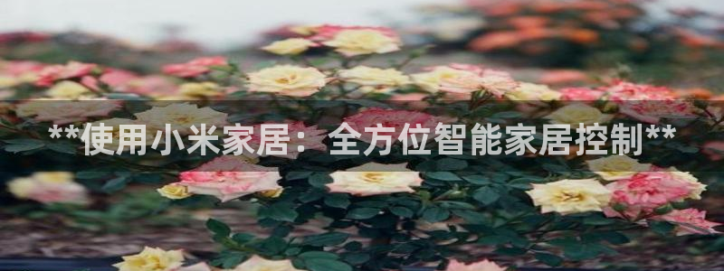 UG环球假线一比一