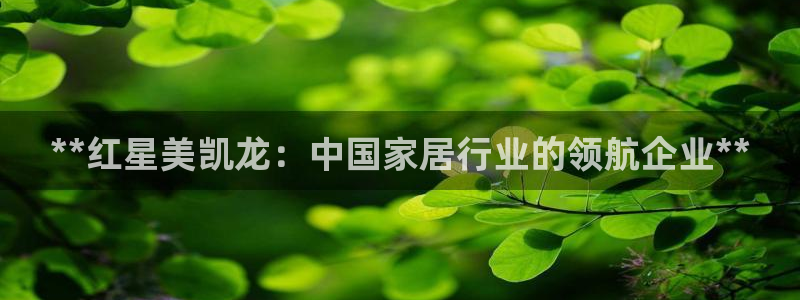 ug环球密码重置是多少位数