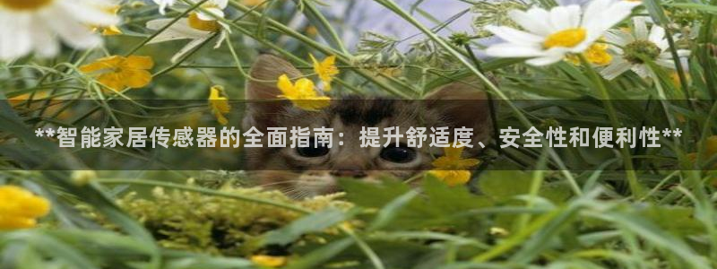 环球ug官网