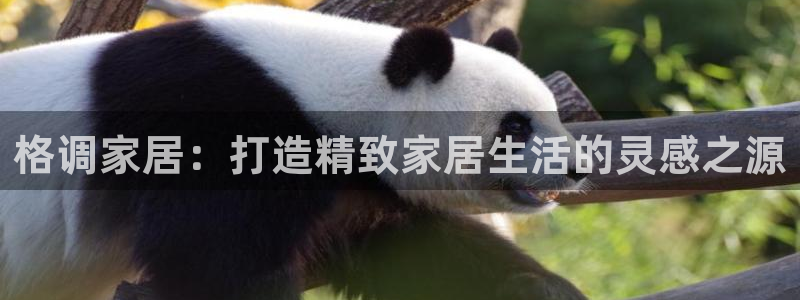 ug环球视讯手机版官网