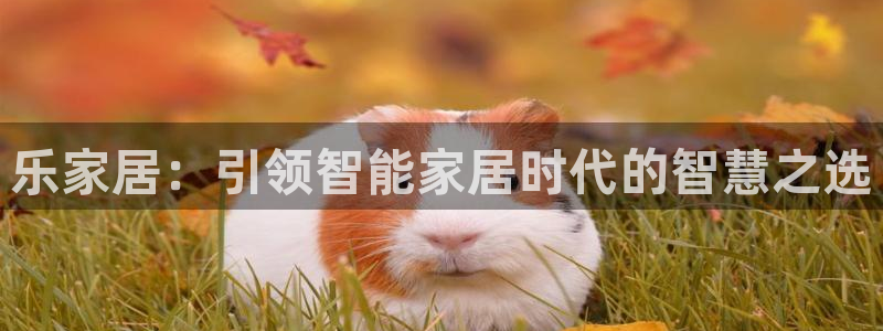 环球ug官网代理