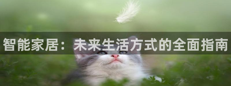ug环球信用盘
