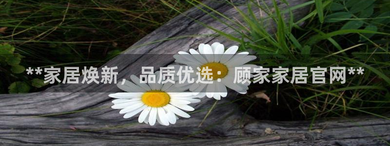 Ug环球私网一比一