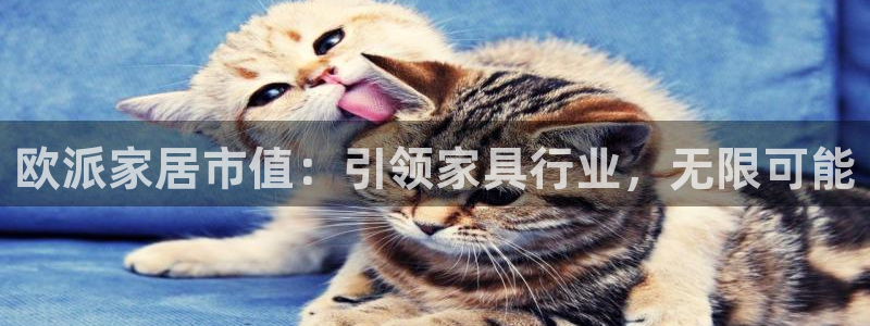 UG环球会员官方