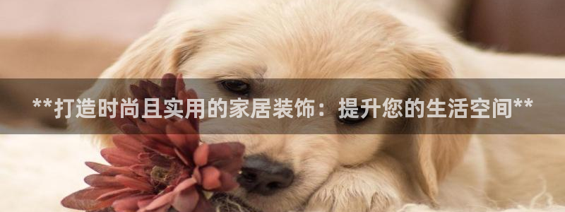 ug环球买分卖分