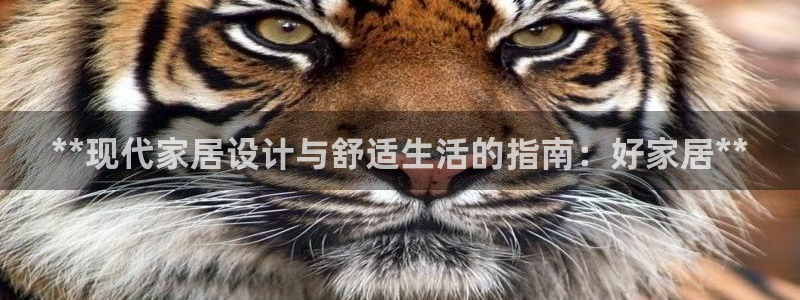 ug环球正网包杀
