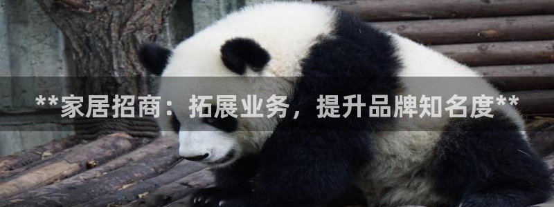 ug环球假网一比一