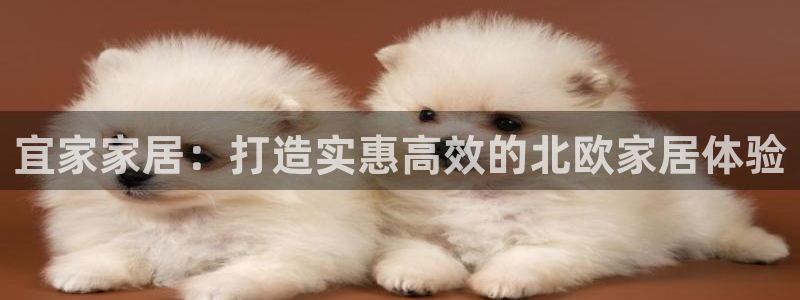 ug环球会员登陆