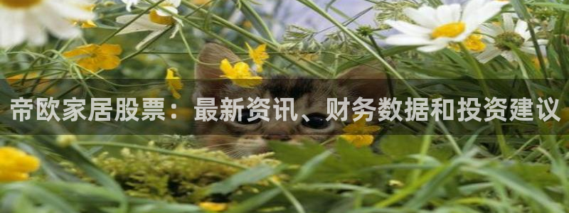 ug环球假网一比一