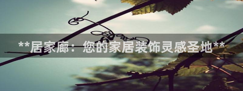 ug环球代理