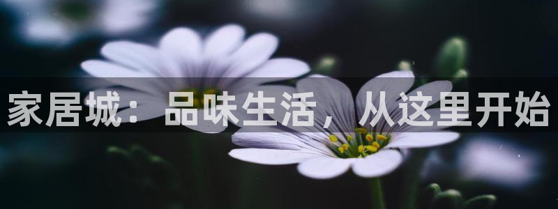 ug环球会员手机版下载