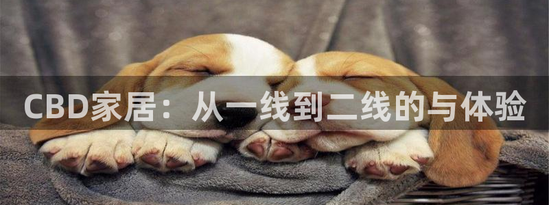 UG环球代理合作