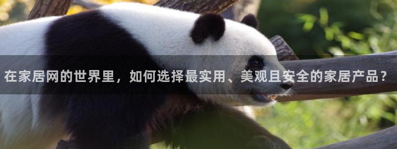 ug环球网站