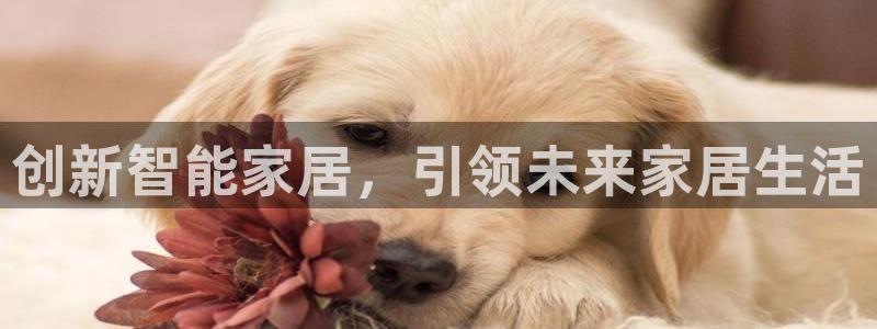 ug环球真假