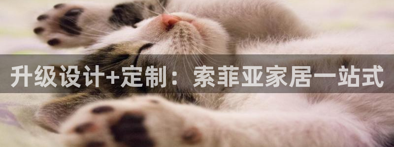 UG环球一比一包杀威agkk19在