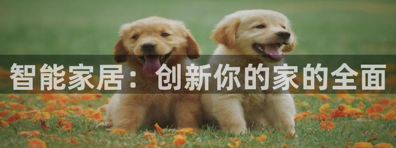 UG环球视讯