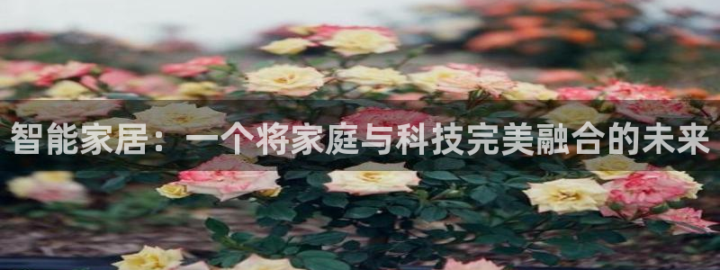 ug环球视讯延时软件