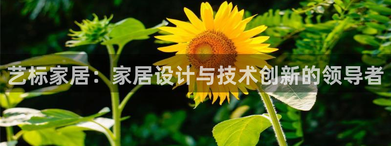 ug环球正网