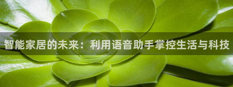ug环球官网会员