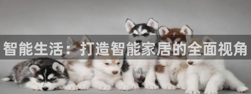 ug环球会员登陆