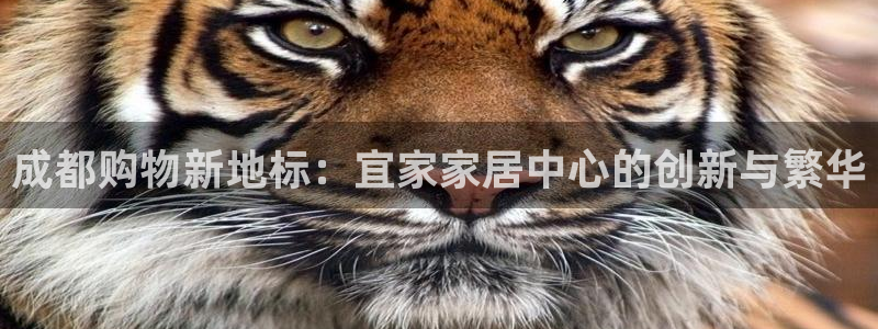 ug环球买代理