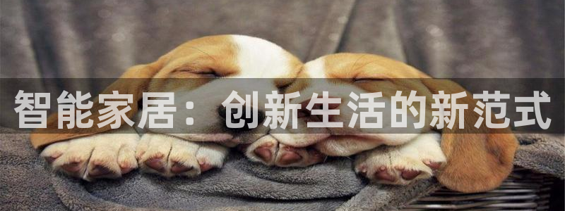 ug环球官网入口